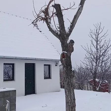 Barbár Borbár Apartman Szekszárd Kültér fotó