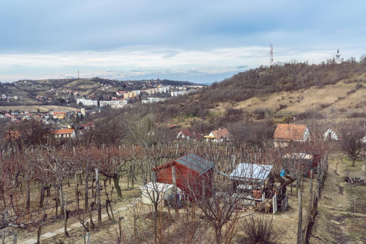 Barbar Borbar Szekszard